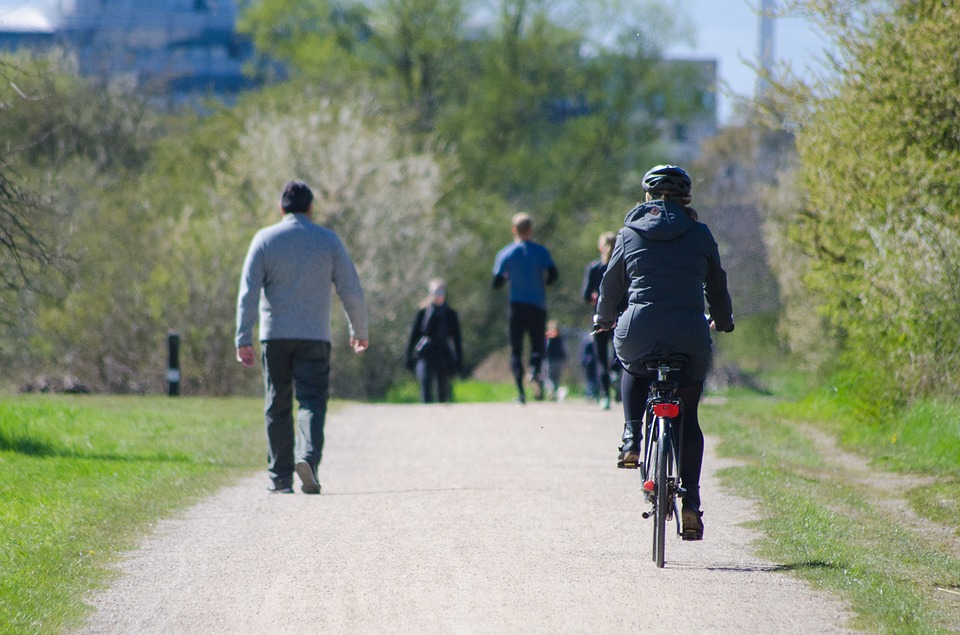 People enjoying a park